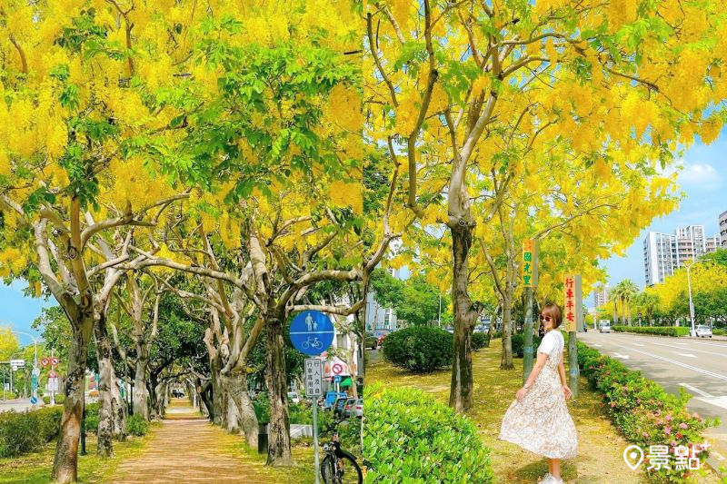 （圖／littlestar0202）