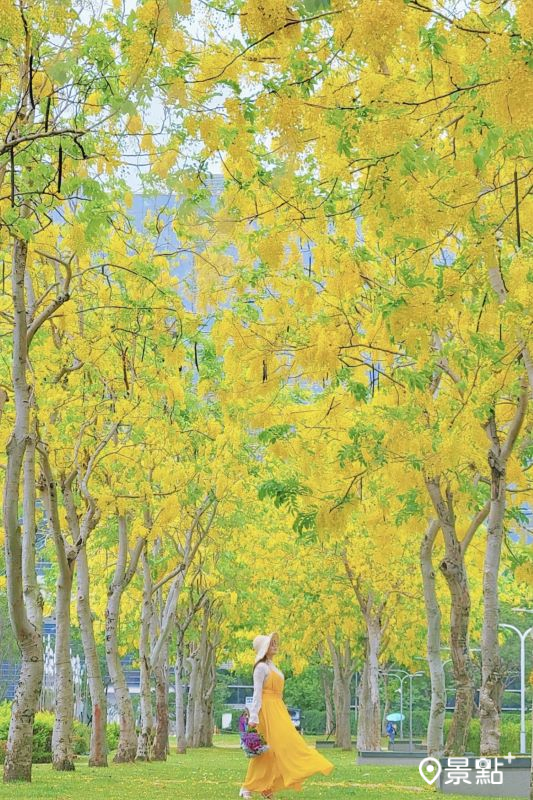 （圖／yijiun_lee）