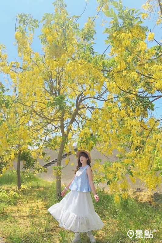 (圖/applevivian72)
