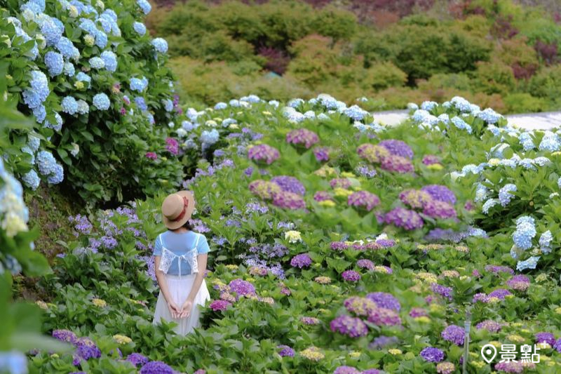 （圖／tsotso_1206）