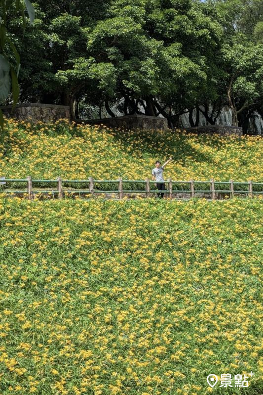 （圖／siouteng0822，以下同）