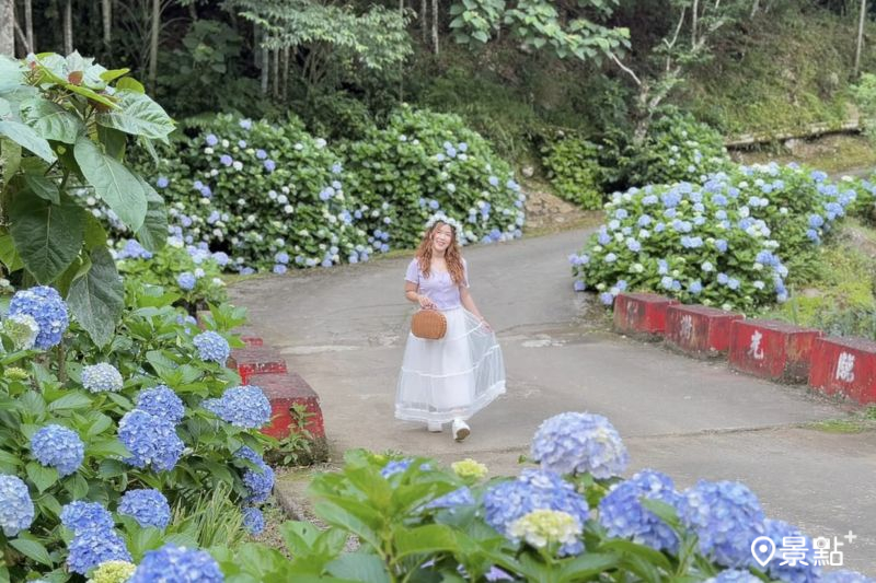 （圖／ariel_apple419，以下同）