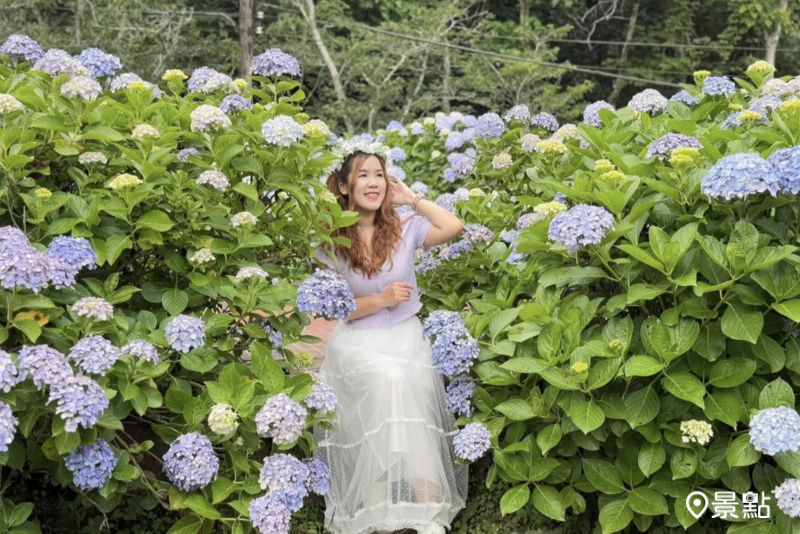 （圖／ariel_apple419，以下同）