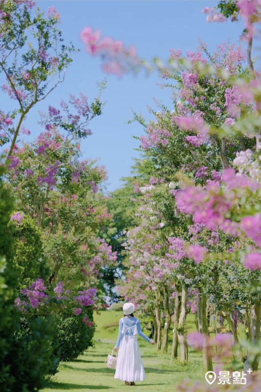 （圖／tsotso_1206）