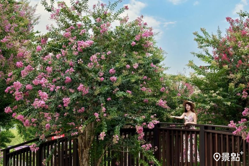 （圖／molly888666）