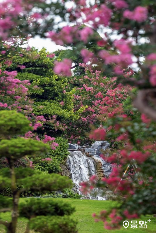 （圖／molly888666）