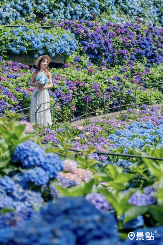 （圖／lichi0118）