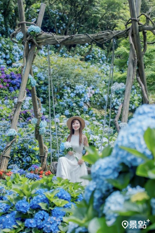 （圖／lichi0118，以下同）