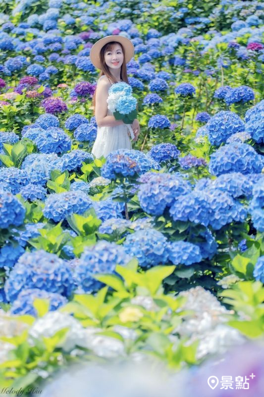 （圖／lichi0118，以下同）