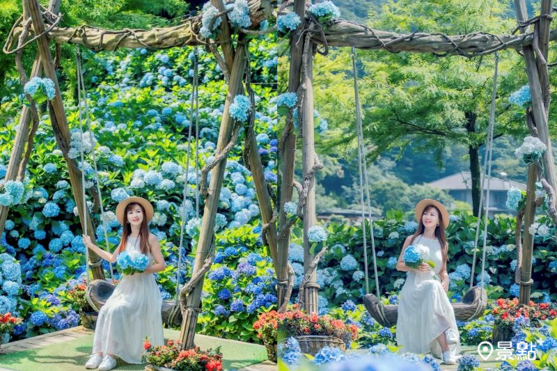 名陽匍休閒農莊繡球花海綻放，吸引人前往取景。（圖／lichi0118）