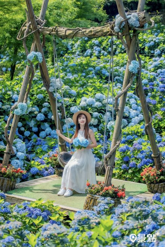 於2025年6月7日拍攝的名陽匍休閒農莊繡球花海。（圖／lichi0118，以下同）