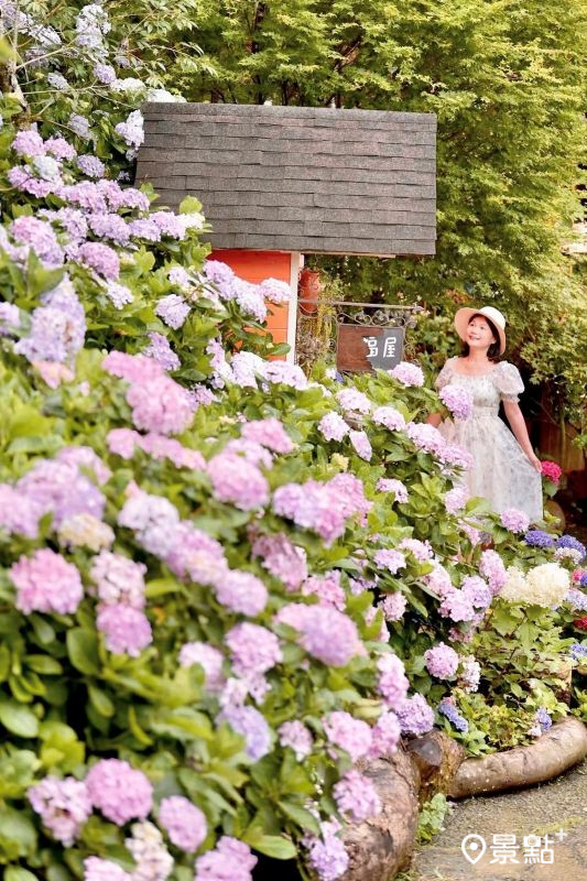 （圖／laiyuping9520）