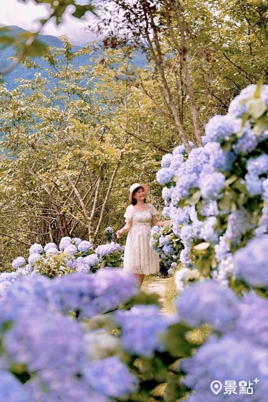 （圖／laiyuping9520）