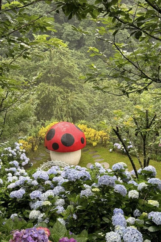 （圖／南庄碧絡角花園咖啡，以下同）