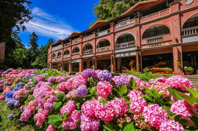 （圖／愛上杉林溪）