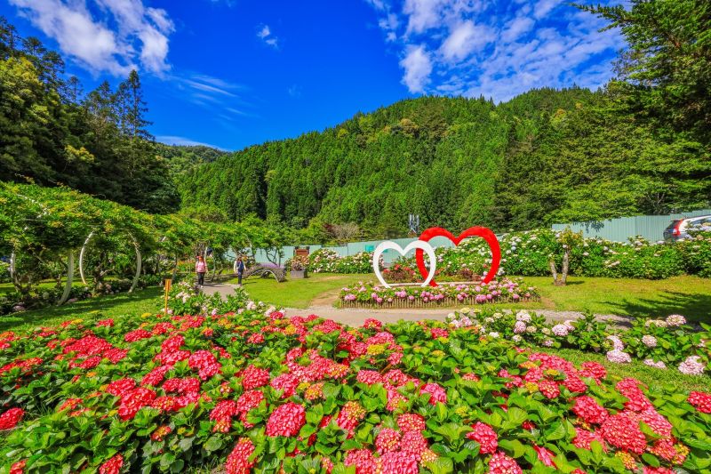 （圖／愛上杉林溪，以下同）