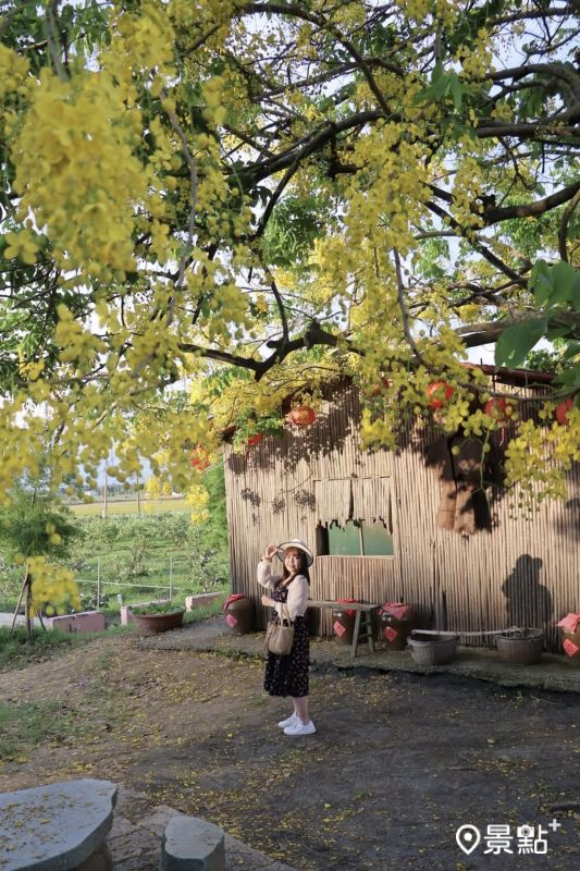 （圖／luvyuuna）