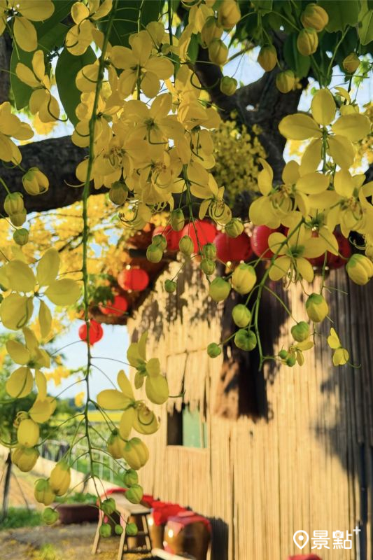 （圖／luvyuuna，以下同）