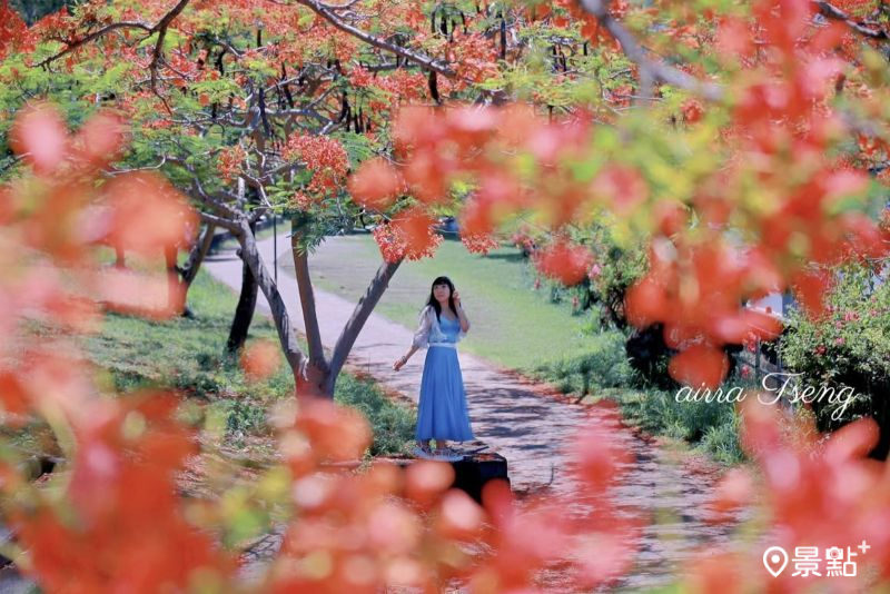 （圖／airratseng，以下同）