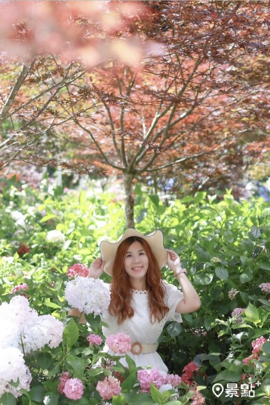 （圖／ariel_apple419、aaa123471）