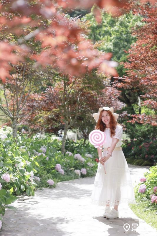 （圖／ariel_apple419、aaa123471）