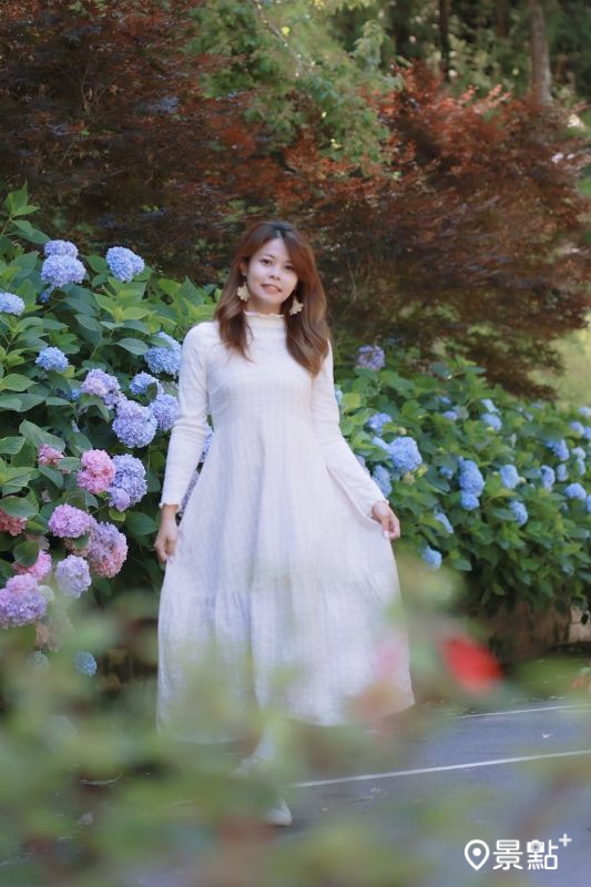 （圖／aaa123471）