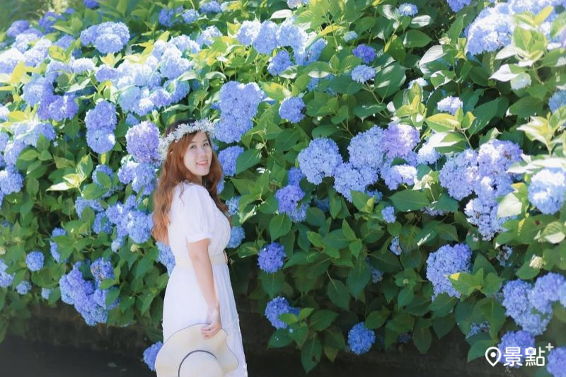 （圖／ariel_apple419、aaa123471）