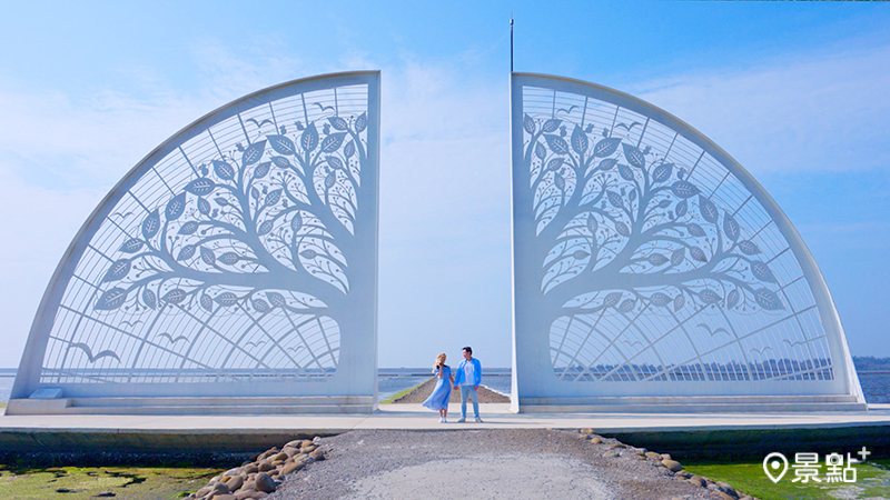 最美打卡門！「生命之樹」怎麼拍都美！