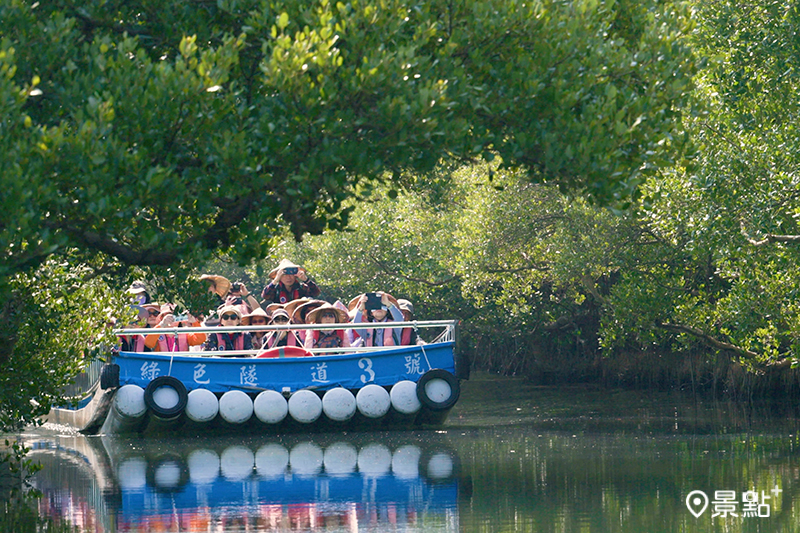 搭船穿越綠色隧道，秒進台版亞馬遜。