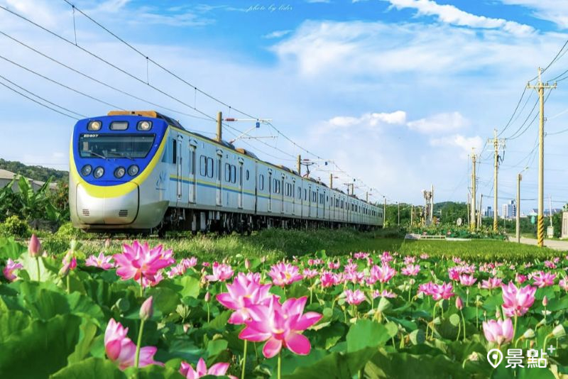 （圖／lider.0409，以下同）