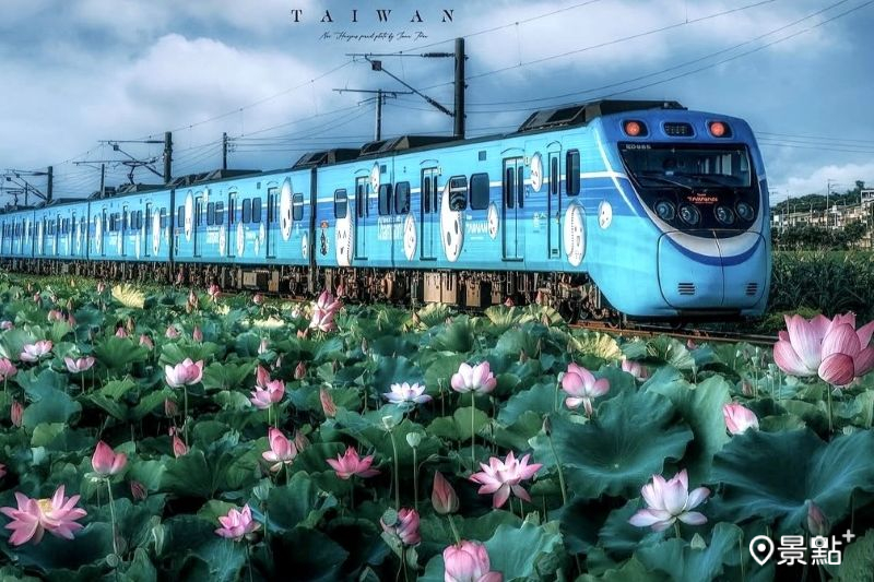 通霄荷花海與棒球列車同框，吸引人前往取景。（圖／imma_pon）