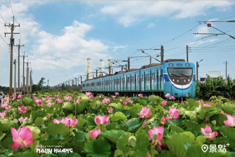 （圖／molly888666，以下同）