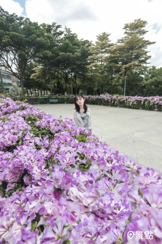 （圖／aday0530，以下同）