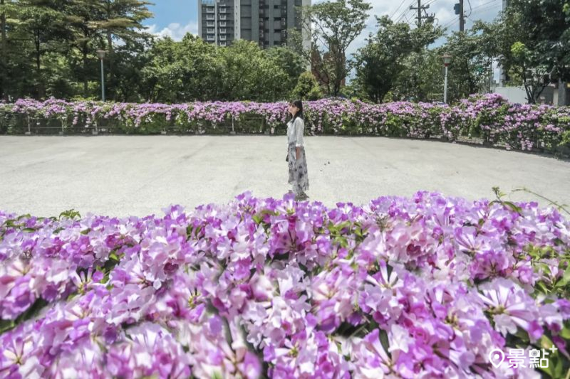 （圖／aday0530，以下同）