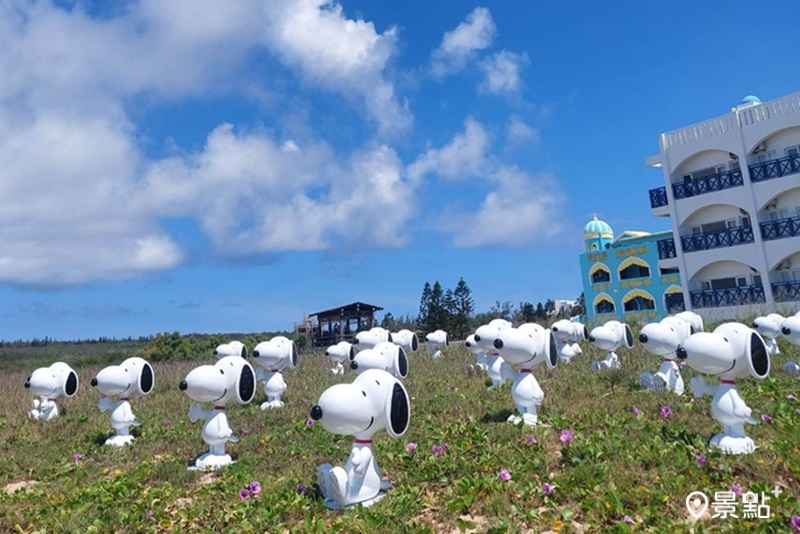 6月22日30個史努比公仔快閃山水沙灘。