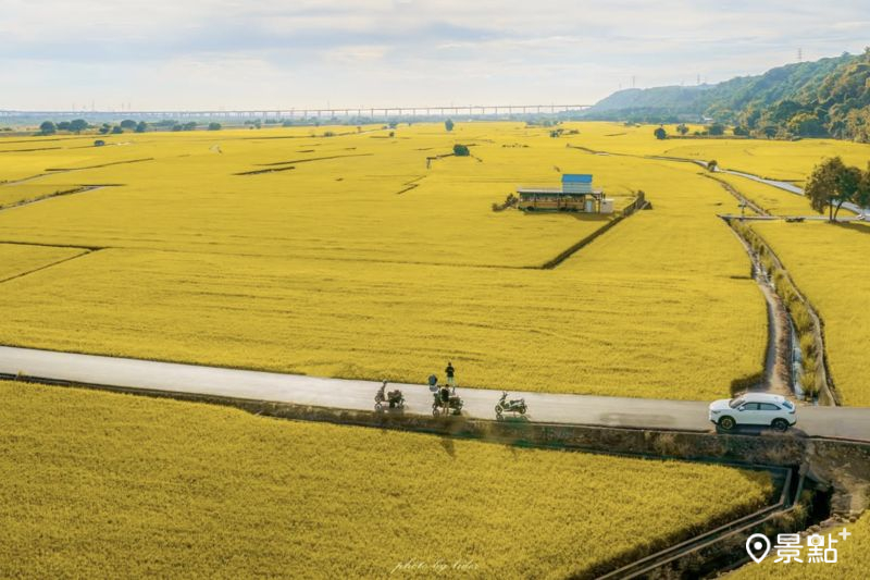 台中外埔忘憂谷。（圖／lider.0409）