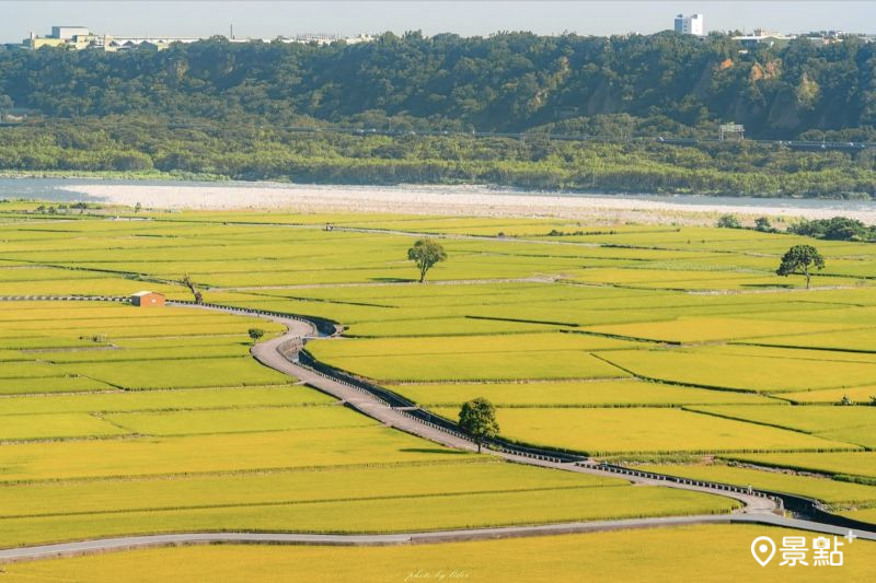 （圖／lider.0409）