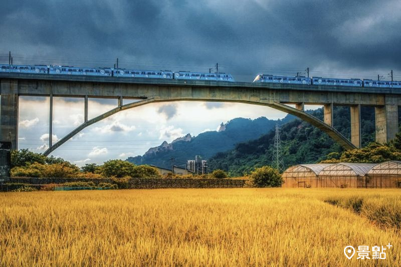 金黃稻浪棒球列車同框鯉魚潭拱橋美景。