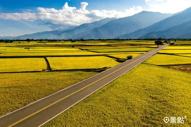 台東伯朗大道。(圖/台東縣政府)