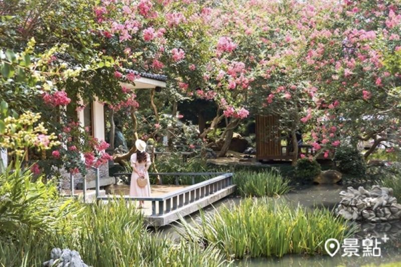 往年台灣銘園庭園美術館紫薇花海美景。(圖/153_mom,以下同)
