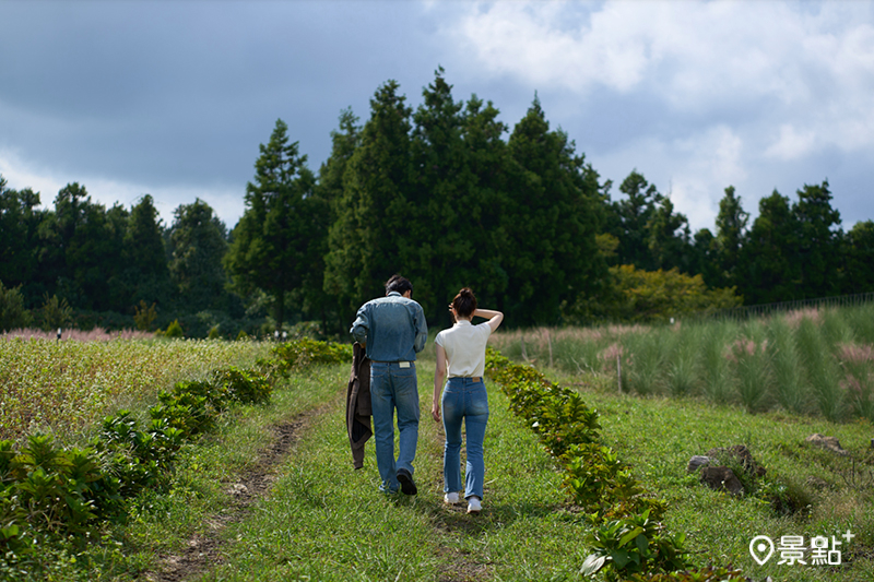 《母胎單身戀愛大作戰》(Better Late Than Single)