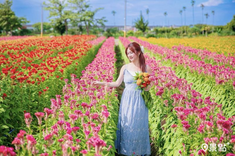 （圖／sunny_day_11_03）