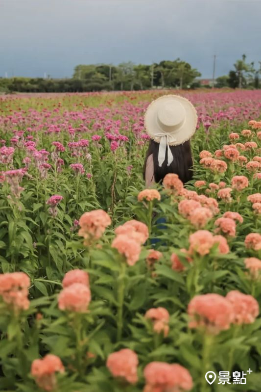 （圖／aday0530）