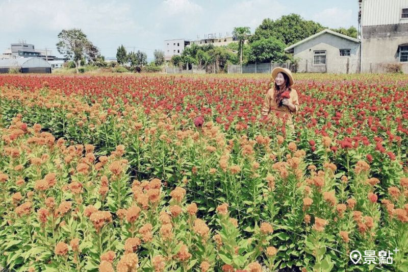 （圖／miss9290）