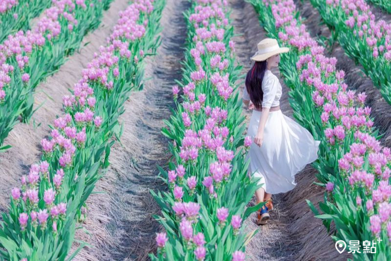 （圖／jully426132，以下同）