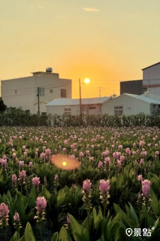 （圖／momo201438）