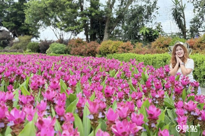 （圖／ariel_apple419，以下同）