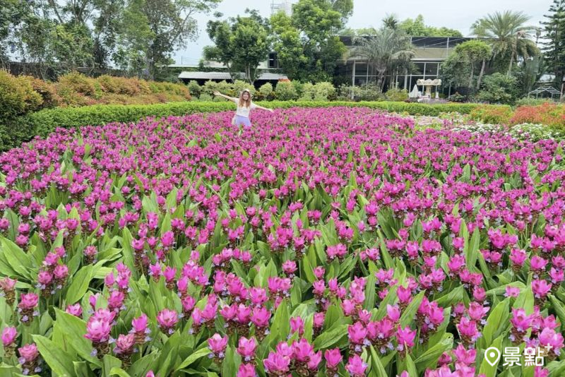 （圖／ariel_apple419，以下同）