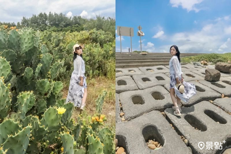 豬鼻子沙灘仙人掌及可愛造型消波塊，吸引人前往取景。（圖／aday0530）