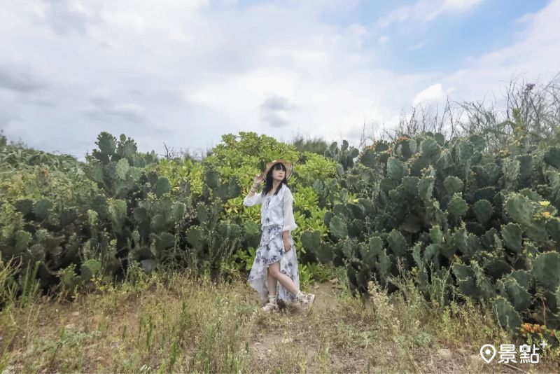 （圖／aday0530）